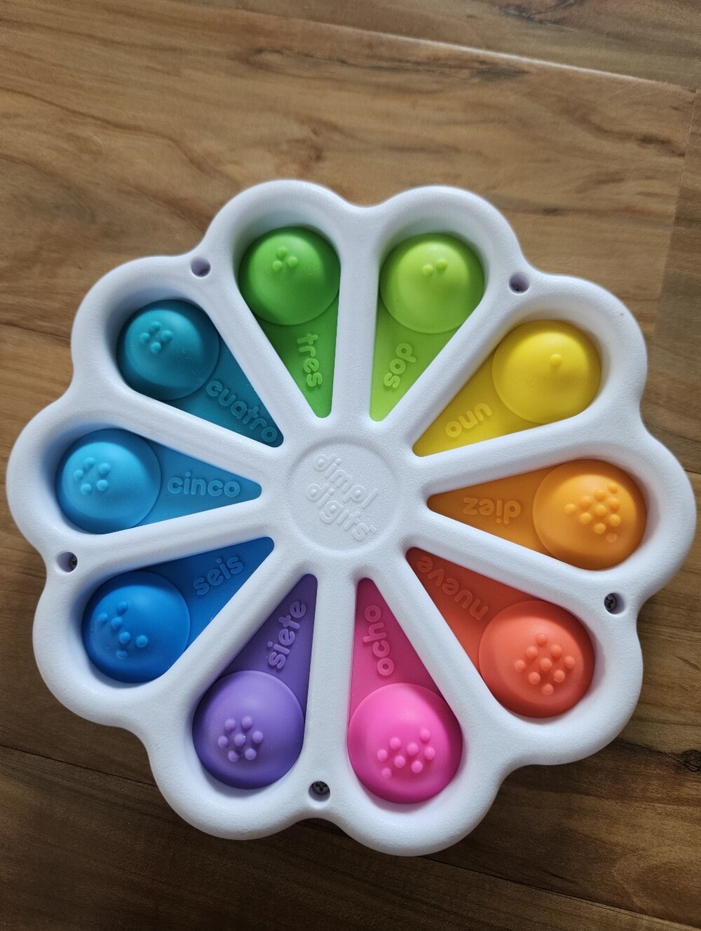 Sensory Pop Toy - Multicolor